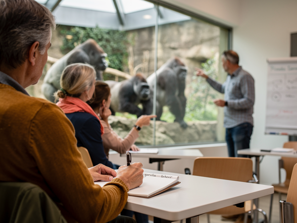 Bild zu Biologieunterricht im Kölner Zoo: Beobachten, beschreiben, erkennen - Affen, unsere nächsten Verwandten - Evolution der Primaten (Sek. I), KI-generiertes Bild